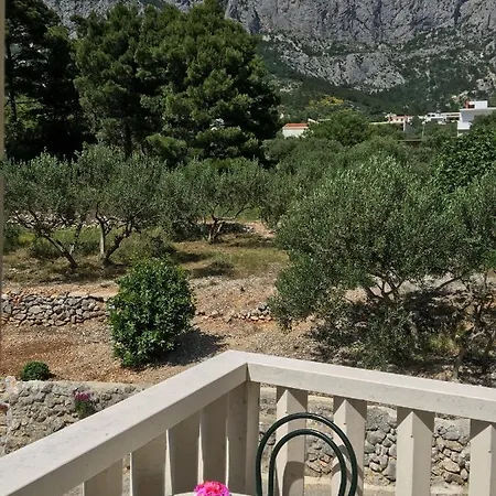 Medusa Makarska